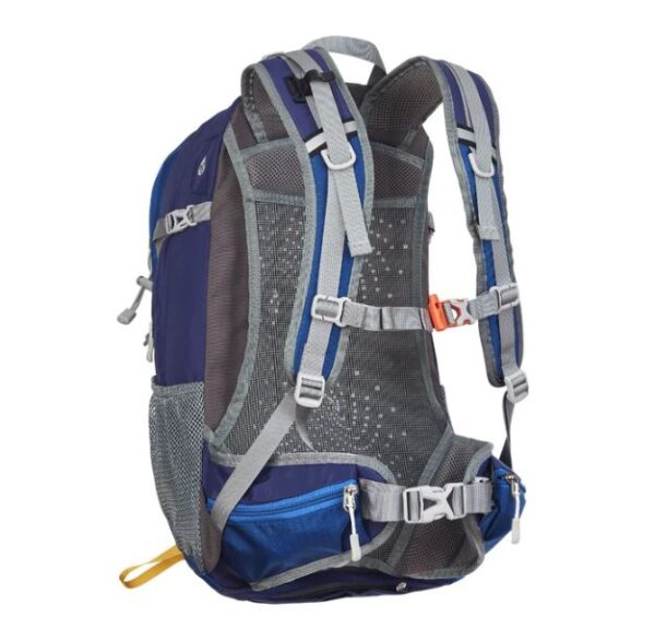 Alpina tor 35 blue3