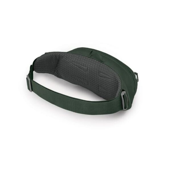 Daylite waist green belt2
