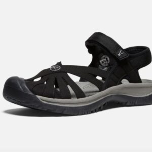 Keen rose2