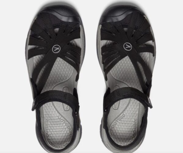 Keen rose3