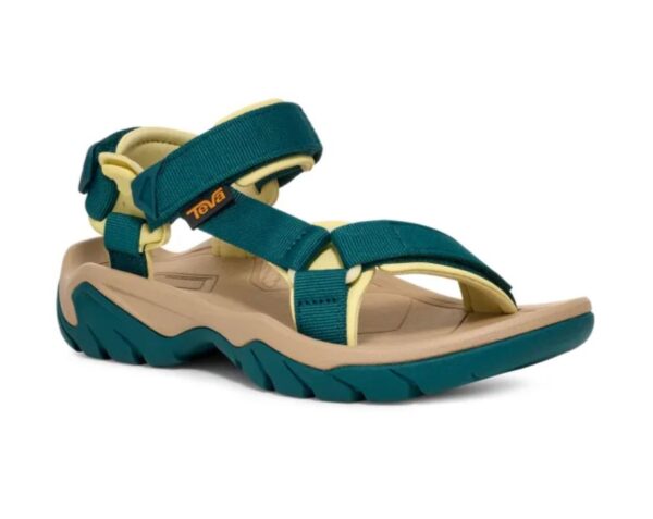 Terra fi 5 blue coral2