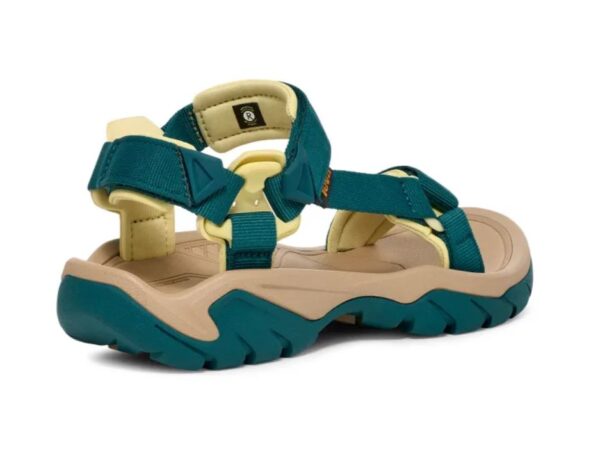 Terra fi 5 blue coral3
