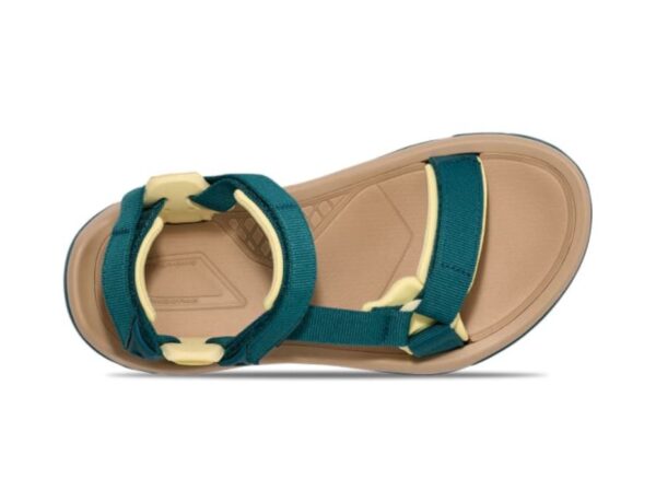 Terra fi 5 blue coral4